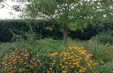 Cascina Garaita - Photo 34