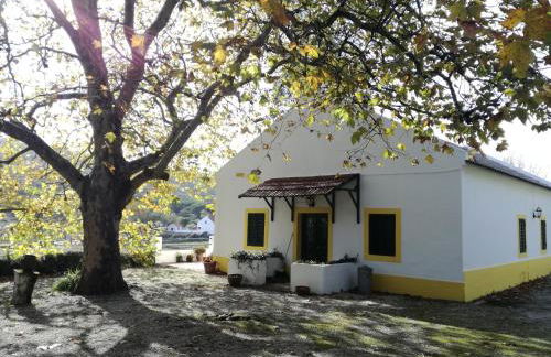 Montejunto Villas - Casa do Plátano - Foto 9