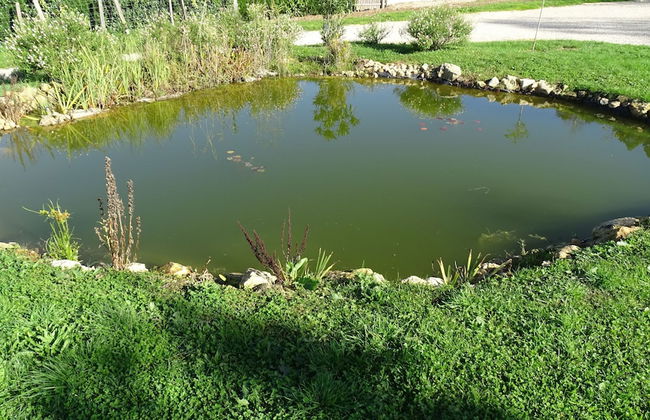 Les Gîtes de Petrocoriis - Foto 73