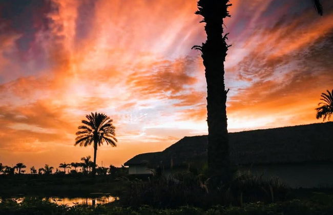 HOP Mykonos en Playa y Naturaleza de Chincha - Foto 32