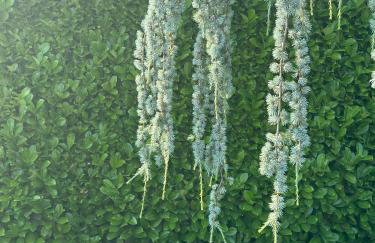 Apartman Perla - Foto 42