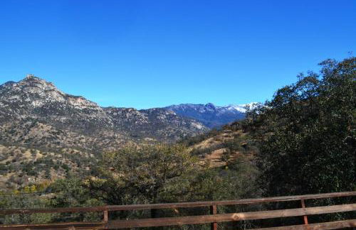 Shady Knoll - Photo 38