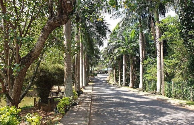 Explore Central Srilanka - Foto 27