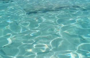 Sardegna segreta a pochi passi dal mare - Photo 33