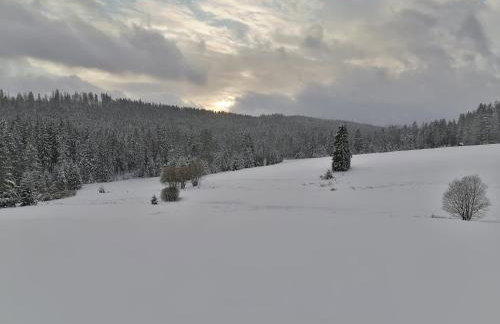 Olberówka - Foto 30