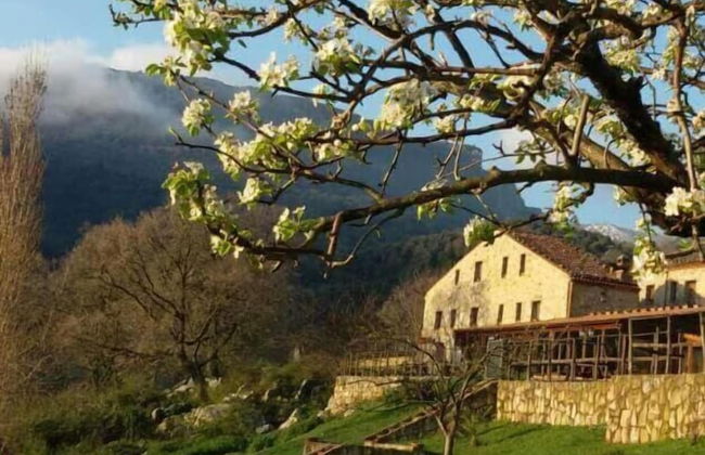 Masseria rocca di Gonato - Foto 35