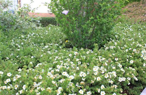 Ferienhaus Däschinger Das Zweiradparadies - Foto 47