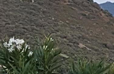 Résidence U MELU Grand T2 BLEU en rez de jardin - Foto 40