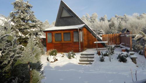 Eifelwaldhäuschen Grosstyp mit Wintergarten und Waschkeller Haustiere ok - Photo 4