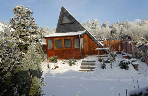 Eifelwaldhäuschen Grosstyp mit Wintergarten und Waschkeller Haustiere ok - Photo 4