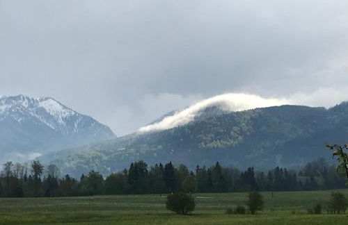 Pure Nature Munich - Alps - Foto 37