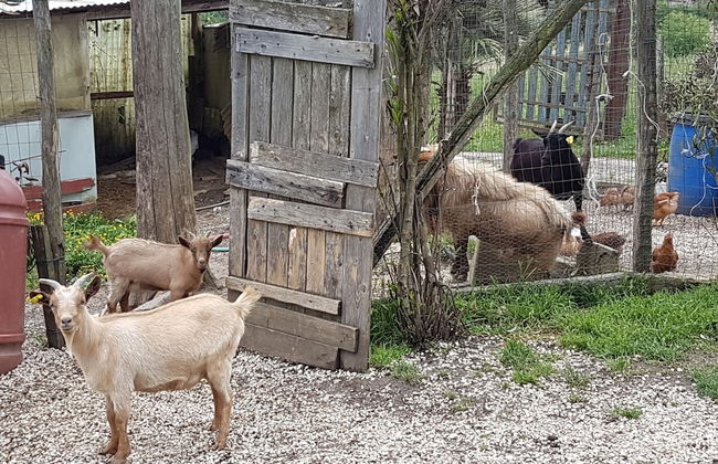 Agriturismo Cisogna - Foto 17