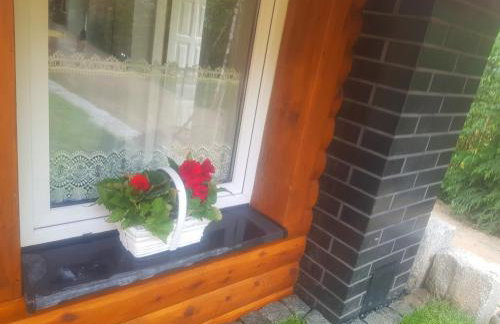 Alpakowy raj - Foto 62