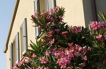 Casa di Campagna - Foto 16