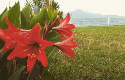 Silver Cape Raches on the sea - Foto 66