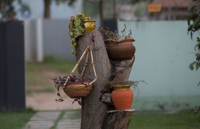 Traveller's Palm Court - Foto 26