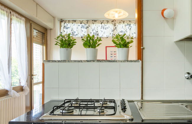 Gelsomino (CCO115) - Foto 10