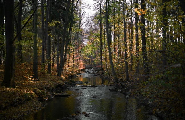 Ferienhaus Oppach - Foto 70