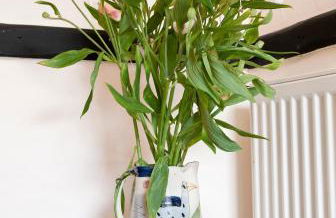 Tros Yr Afon Holiday Cottages and Manor House - Photo 37