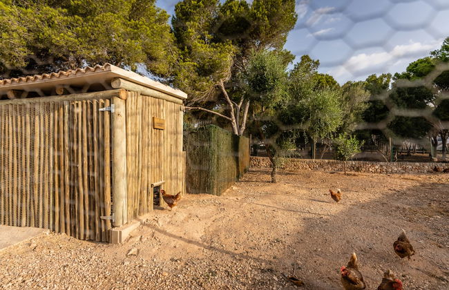 Lago Resort Menorca - Villas & Bungalows del Lago - Photo 57