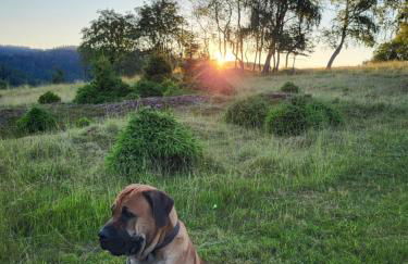 Gasthaus Rennsteig - Foto 21