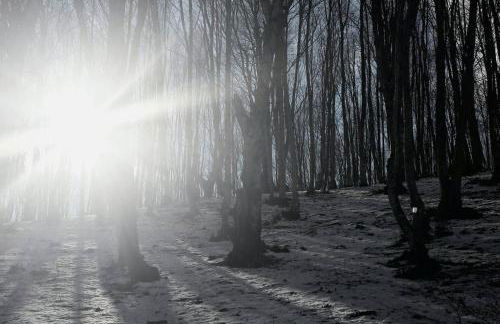 Tana di Zia Nature, Yourself, Love - Foto 55