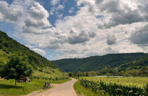 Wohnen am Weingut - Bei den Weinbergen - Foto 12