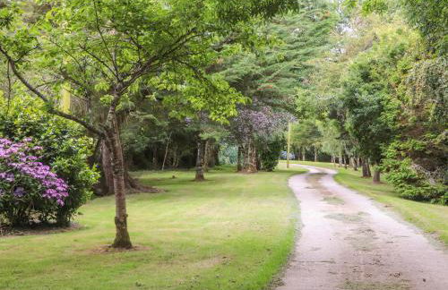 Riviere Barton - Foto 34