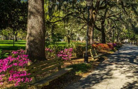 Victorian Home on Duffy Street - Foto 47