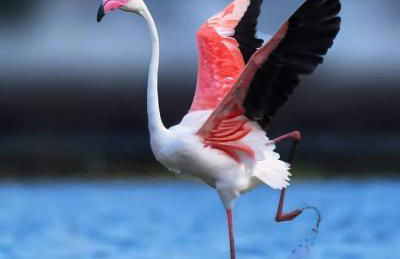 Vientos y Mares - Foto 23