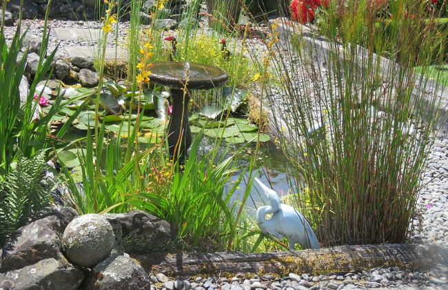 Marchmont Gardens - Photo 40