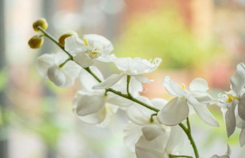 Ferienwohnungen Engelmann, 35107 - Foto 58