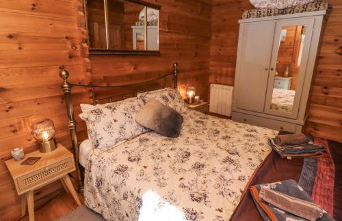 Aurora Skies - Photo 17