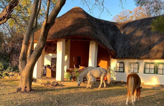 Waterberg Cottages - Foto 58