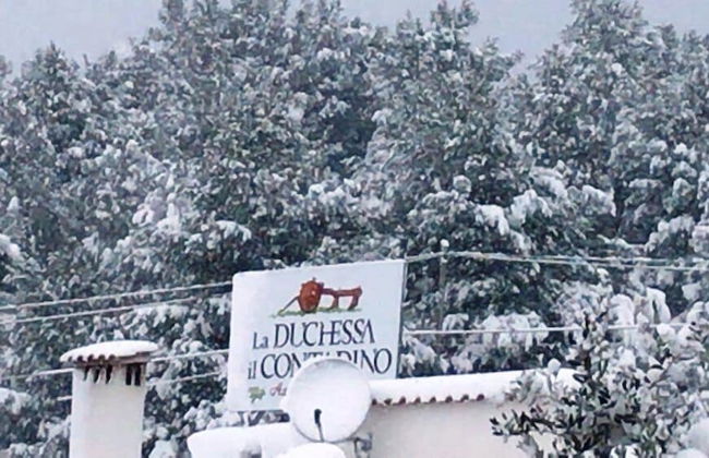 Agriturismo La Duchessa e il Contadino - Foto 45