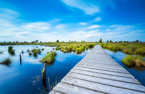 Ferienwohnung Eifel-Life - Photo 25