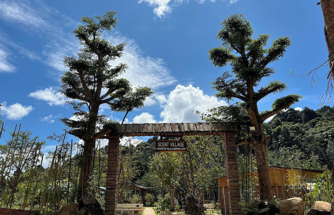 Scent Chalet - Scent Village - Foto 6