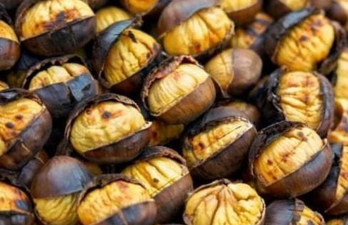 Agriturismo l'Eremo - Foto 49