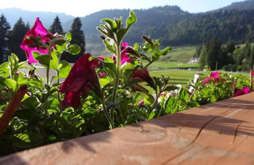 Albingers Landhaus - Photo 64