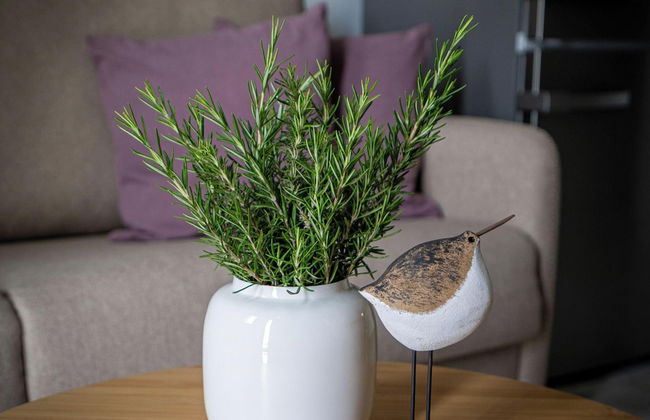 Inia Apartments - Foto 13