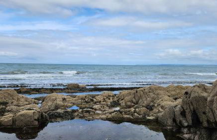 18 Bucklands - Cosy 5-Star Chalet - Starlink Wi-Fi - Coastal Woodland - Foto 19