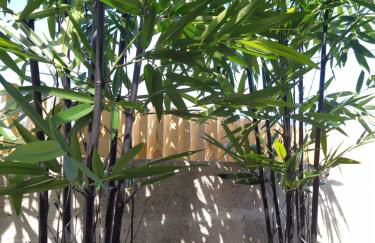 LR1 - Vue mer & Plage à pied - Ressourçant & paisible - Foto 32