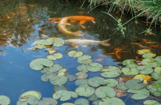 Villa Gatta Bianca - Foto 42