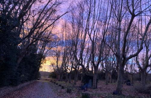 Château de Livière - Photo 25