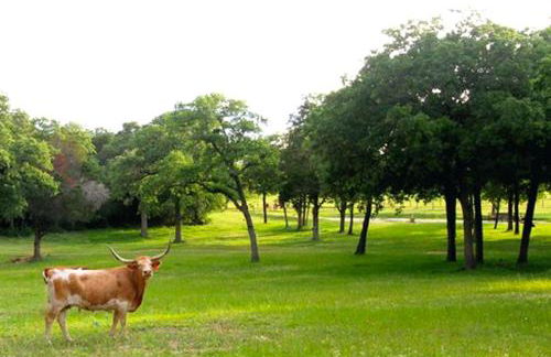 Romantic and Unique Tree House Rental on a Private Ranch in Central Texas - Foto 17