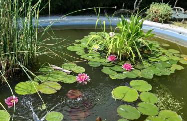 La Corte del Macero - Foto 6