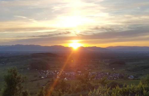 Apartment in Kleines Wiesental - Foto 63