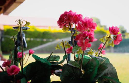 Renaissance Holidays Villa - Foto 75