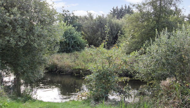 "Terese" - 45km from the sea - Foto 3, Outdoor