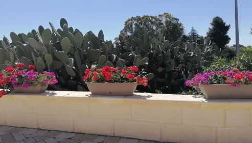 Villa Relais Palmento 1866 Torre Favara - Foto 5, Garden, Garden view